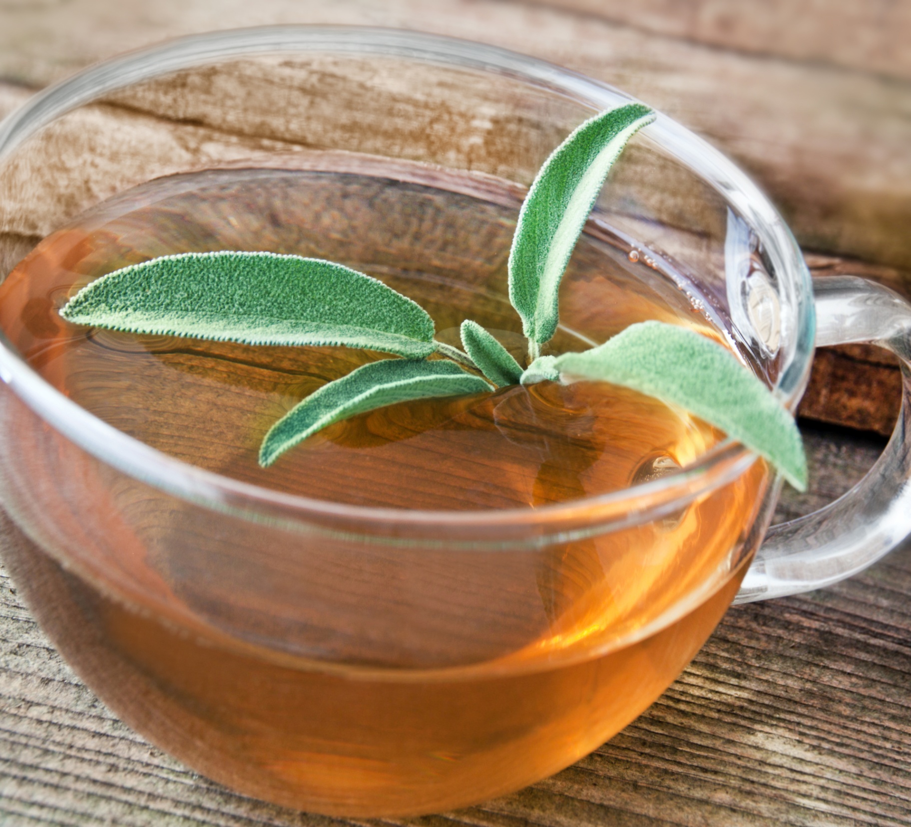 Tasse d'infusion de sauge fraîche
